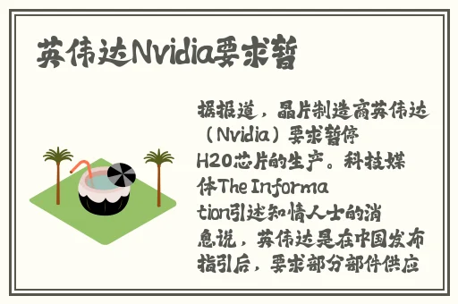 搞机time下载不用不收钱嘉兴